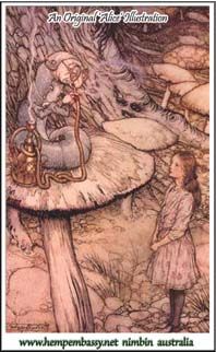 Alice