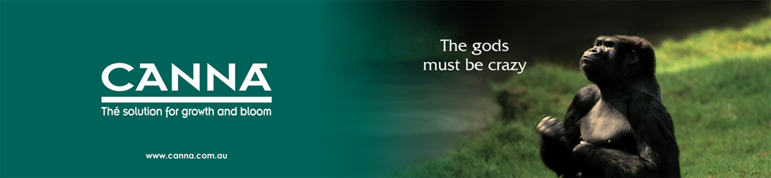 ADV_AUS_CORP-AAP_G_MARDIGRASS.indd