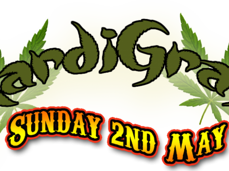 Sun2-21